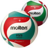 Molten zaalvolleyballen