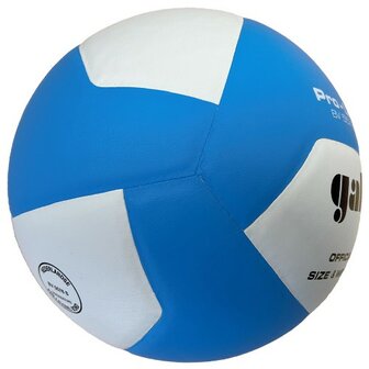 Gala Pro-line bv 5576S Volleybal