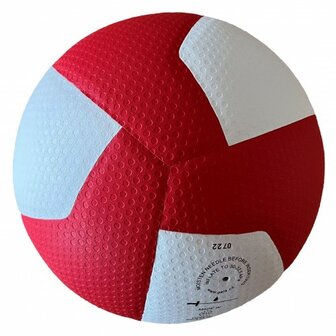 Gala Pro-line bv 5586S Volleybal