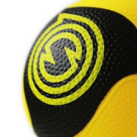 Spikeball Pro Balls 2-pack