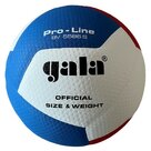 Gala-Pro-line-bv-5586S-Volleybal