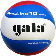 Gala Pro-line 5171S10 Volleybal